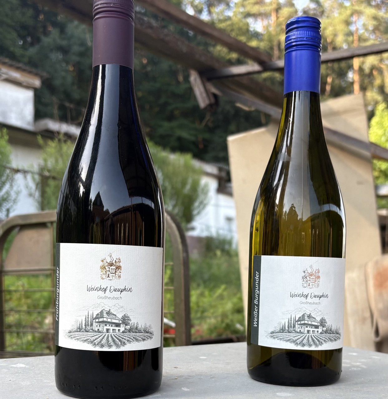 Frühburgunder und Weißer Burgunder vom Weinhof Dauphin auf der Terrasse